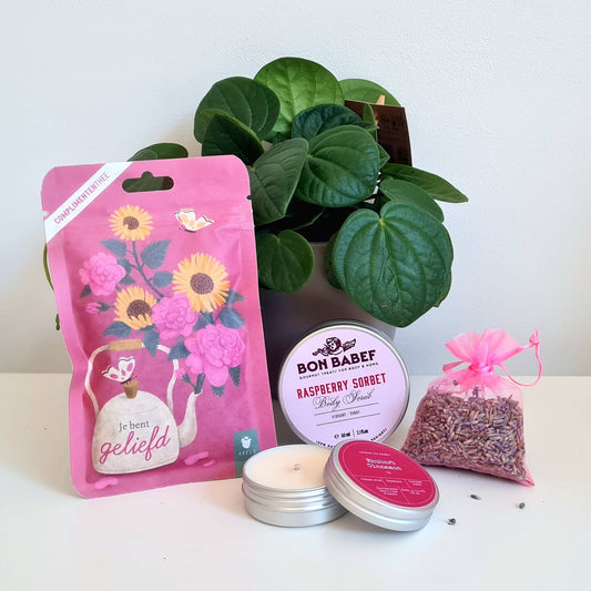 Selfcarebox Midi Soft Care