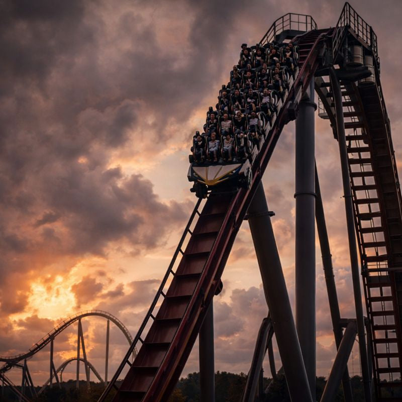 De achtbaan van het leven