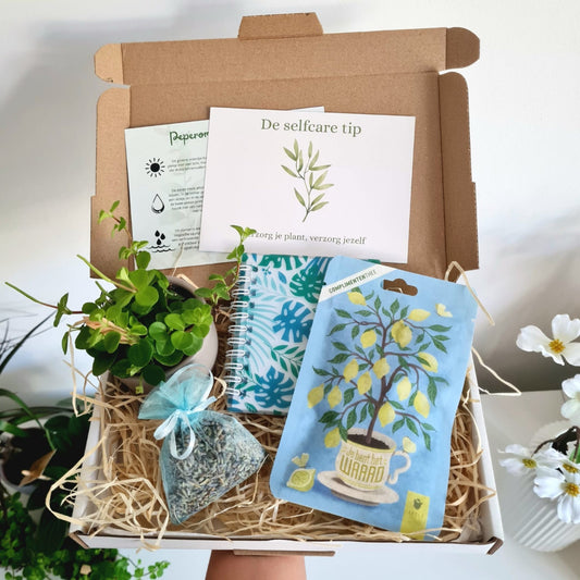 Waardevol - Selfcare Mini