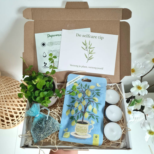 Waard - Selfcare Mini